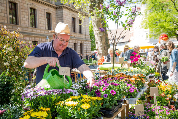 Der erste BBG-Blumenmarkttag verwandelt am 4. Mai von 10:00 bis 16:00 Uhr den Domplatz in ein Blumenmeer. (Wird bei Klick vergrößert)