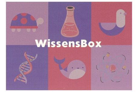 Wissensbox