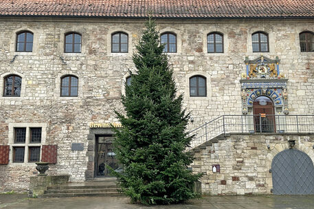 Der Weihnachtsbaum präsentiert auf dem Altstadtmarkt sein grünes Nadelkleid und sorgt für Vorfreude auf die Weihnachtszeit.