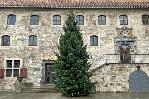 Der Weihnachtsbaum präsentiert auf dem Altstadtmarkt sein grünes Nadelkleid und sorgt für Vorfreude auf die Weihnachtszeit. (Wird bei Klick vergrößert)