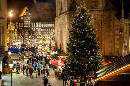 Weihnachtsbaum auf dem Weihnachtsmarkt