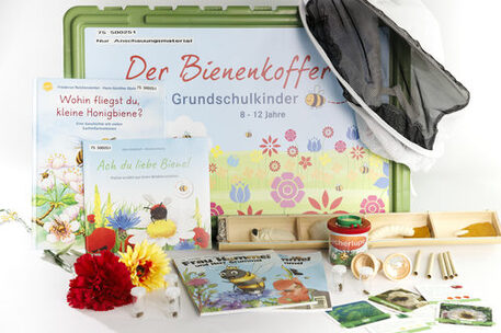 Bienenkoffer Grundschule