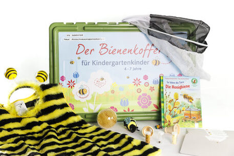 Bienenkoffer Kindergarten