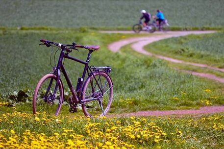 Fahrrad auf einem Radweg zwischen Feldern