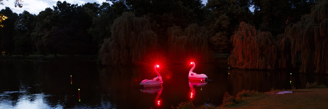 Lichtinstallation Schwäne auf der Oker beim Lichtparcours 2024