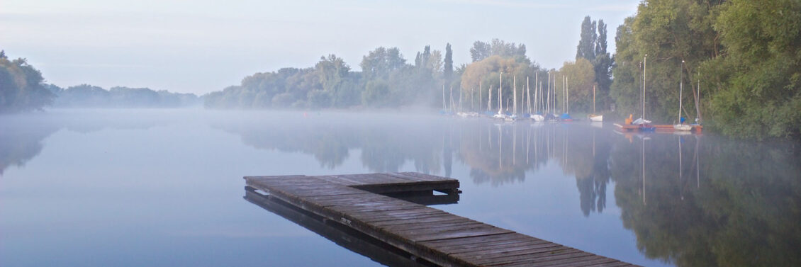 Südsee Morgennebel