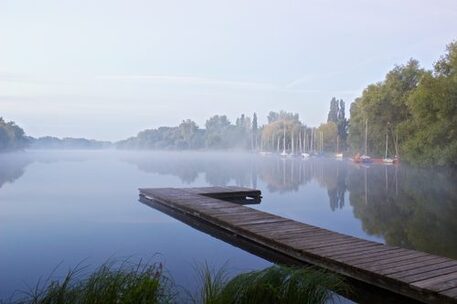 Südsee Morgennebel