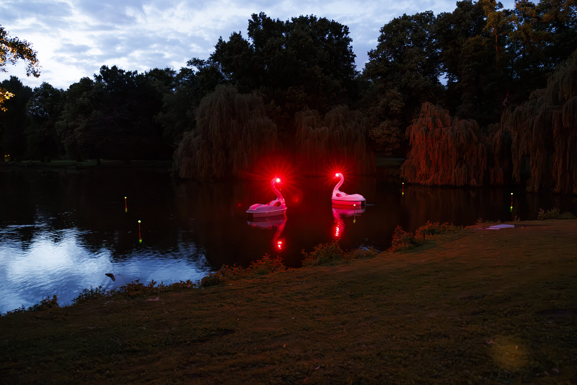 Lichtinstallation Schwäne auf der Oker beim Lichtparcours 2024 (Wird bei Klick vergrößert)